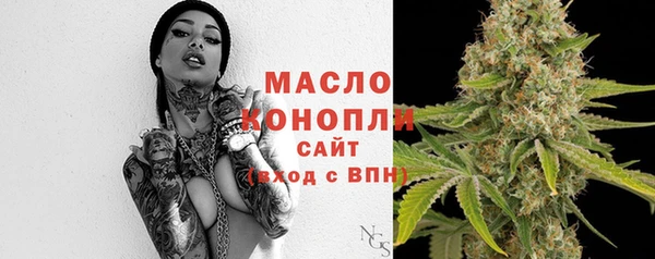 хмурый Абаза
