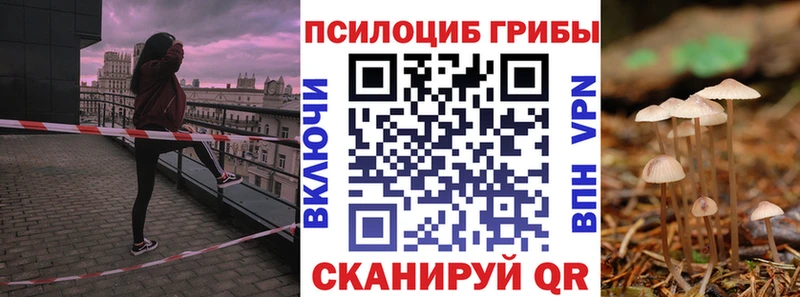 Псилоцибиновые грибы ЛСД  где можно купить   Ачхой-Мартан 